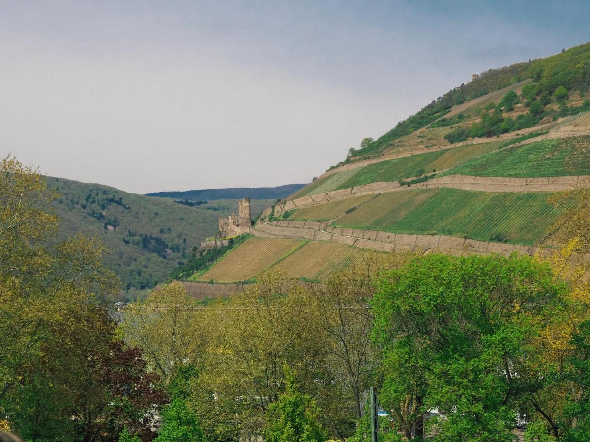 Rheinufer Am Hindenburgpark Διαμέρισμα Bingen am Rhein Εξωτερικό φωτογραφία