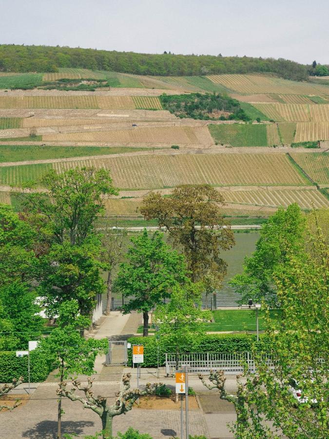 Rheinufer Am Hindenburgpark Διαμέρισμα Bingen am Rhein Εξωτερικό φωτογραφία
